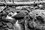 Click to see Y-JG-SIGMA-FP-L-0111-MOD.JPG
