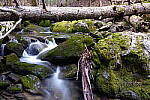 Click to see Y-JG-SIGMA-FP-L-0111.JPG