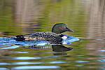 Click to see Y-JG-SIGMA-FP-L-0191.JPG