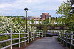 Click to see Y-JG-SIGMA-FP-L-0453.JPG