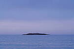 Click to see Y-JG-SIGMA-FP-L-0522.JPG
