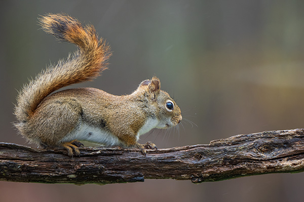 Sigma fp L Review: Field Test -- Gallery Image