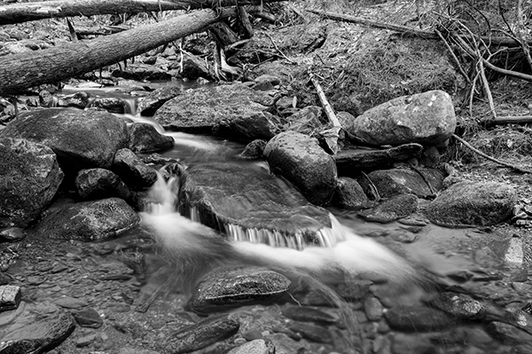 Sigma fp L Review: Field Test -- Gallery Image