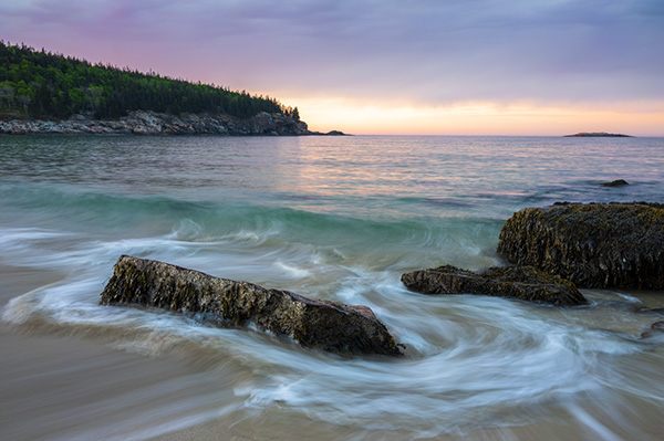 Sigma fp L Review: Field Test -- Gallery Image