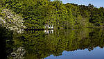 Click to see YC-DP-IM0137.JPG