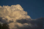 Click to see YD-DP-I0032-EDT.JPG