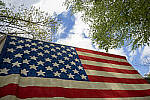 Click to see YD-DP-IM0020.JPG