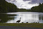 Click to see YD-DP-IM0152-EDT.JPG