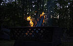 Click to see YD-DP-IM0157-EDT.JPG
