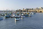 Click to see Y_SDI0033.JPG