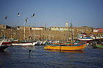Click to see Y_SDI0044.JPG