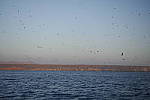 Click to see Y_SDI0073.JPG