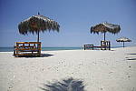 Click to see Y_SDI0098.JPG