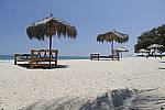 Click to see Y_SDI0101.JPG