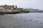 Click to see Y_SDI0122.JPG