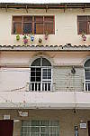 Click to see Y_SDI0166.JPG