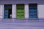 Click to see Y_SDI0216.JPG