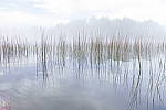 Click to see Y_SDI0277.JPG