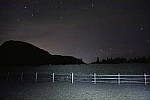 Click to see Y_SDI0346.JPG