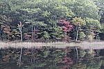 Click to see Y_SDI0424.JPG