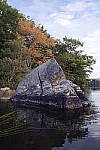 Click to see Y_SDI0483.JPG