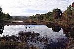 Click to see Y_SDI0557.JPG