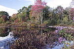 Click to see Y_SDI0573.JPG