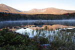 Click to see Y_SDI0596.JPG