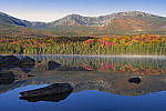 Click to see Y_SDI0606-SFD.JPG