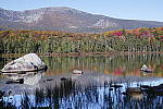 Click to see Y_SDI0649.JPG