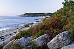 Click to see Y_SDI0680.JPG