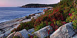 Click to see Y_SDI0682-MOD.JPG