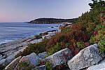 Click to see Y_SDI0682.JPG