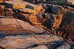 Click to see Y_SDI0695.JPG