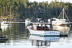 Click to see Y-JG-A1-70-200-GM-II-1193.JPG