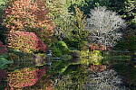 Click to see Y-JG-A1-70-200-GM-II-1267.JPG