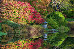 Click to see Y-JG-A1-70-200-GM-II-1272-MOD.JPG