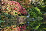 Click to see Y-JG-A1-70-200-GM-II-1272.JPG