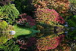 Click to see Y-JG-A1-70-200-GM-II-1286.JPG