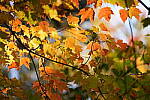 Click to see Y-JG-A1-70-200-GM-II-2604.JPG