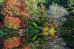 Click to see Y-JG-SONY-A1-1267-MOD.JPG
