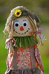 Click to see Y-JG-SONY-A1-1357.JPG