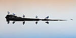 Click to see Y-JG-SONY-A1-1534-MOD.JPG