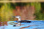 Click to see Y-JG-SONY-A1-1638.JPG