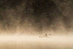Click to see Y-JG-SONY-A1-2362-MOD.JPG