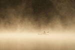 Click to see Y-JG-SONY-A1-2362.JPG