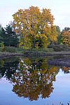 Click to see Y-JG-SONY-A1-3294.JPG