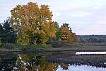 Click to see Y-JG-SONY-A1-3296.JPG