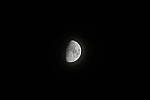 Click to see Y-JG-SONY-A1-3557.JPG