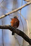 Click to see Y-WB-A1-DSC00449.JPG